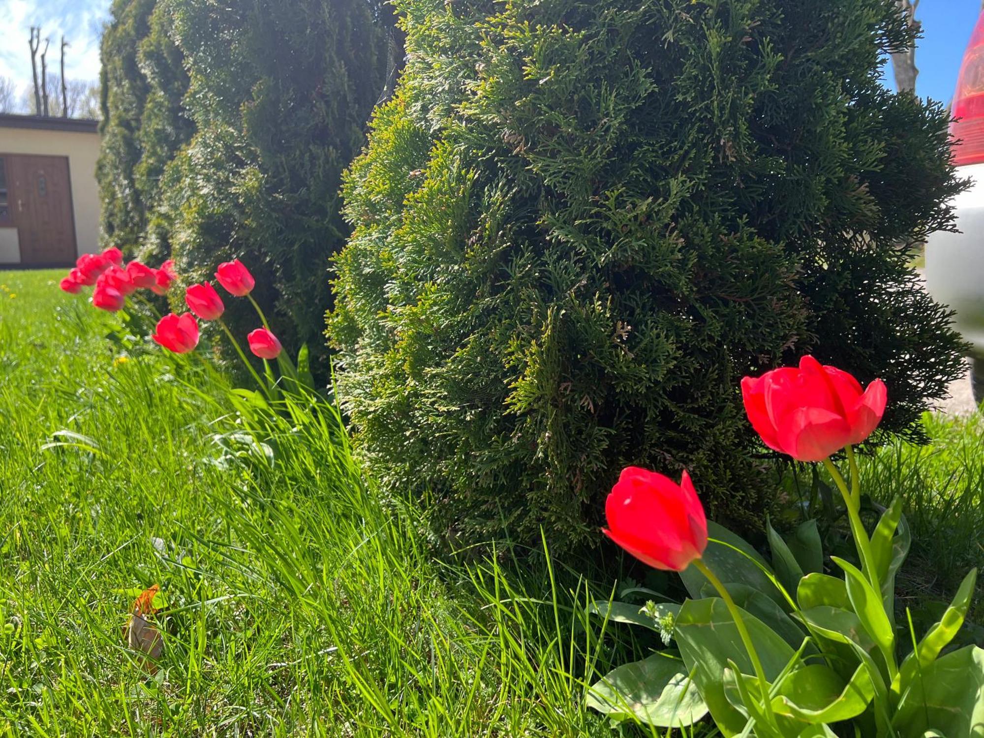 Osrodek Rodzinny "Pod Wydmami" Przy Plazy , Plac Zabaw , Rowery Sarbinowo Kültér fotó